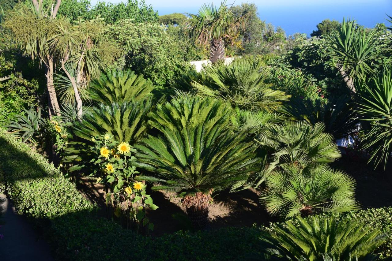 Oasi Di Villa Damecuta อนากาปรี ภายนอก รูปภาพ